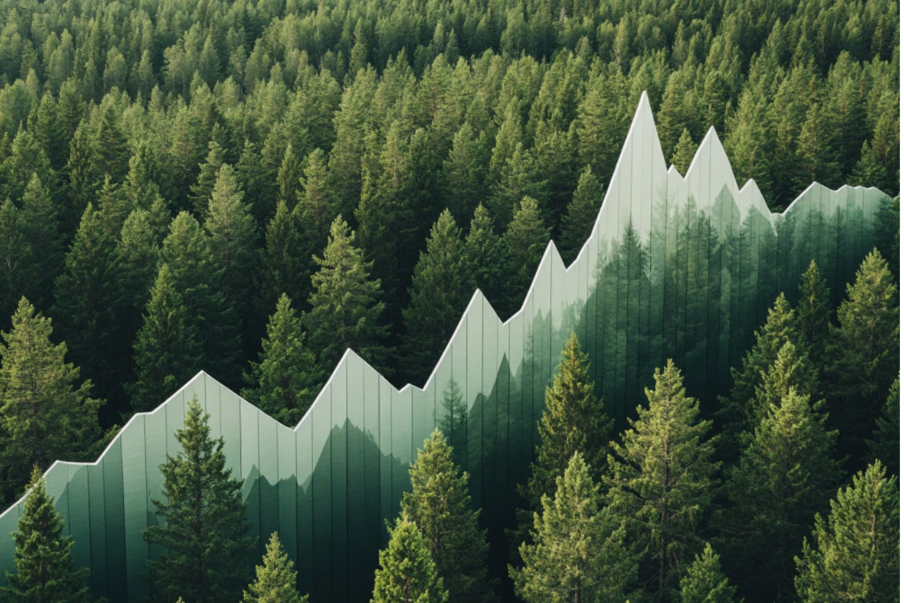 Территории опережающего развития